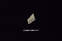 陶片藏品圖，第2張